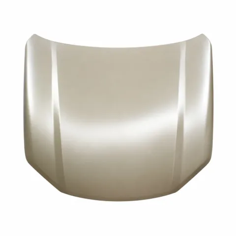 LDV T60 Ute Pro Trailrider Bonnet, Built 7/2017 to 9/2021